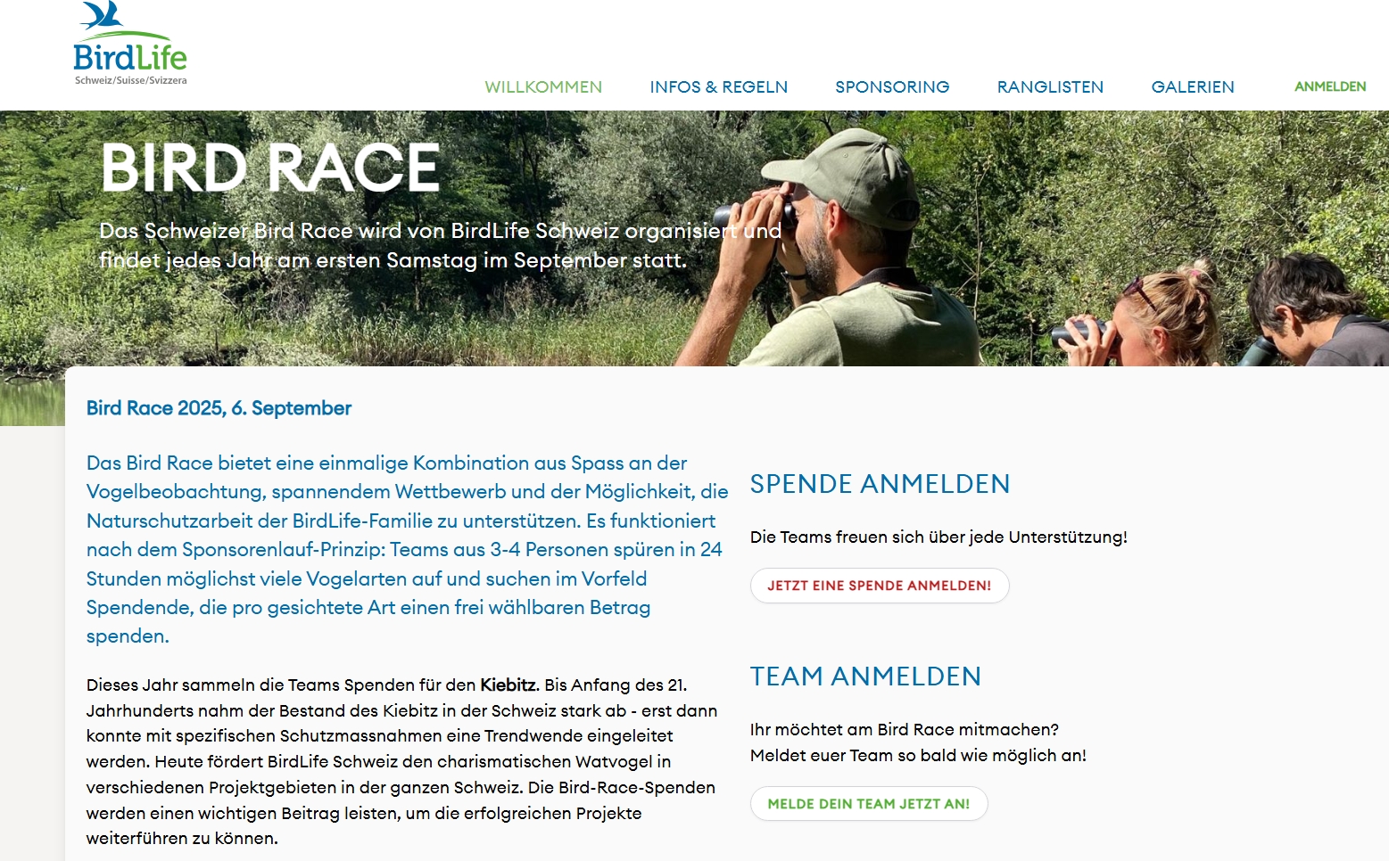 birdracech