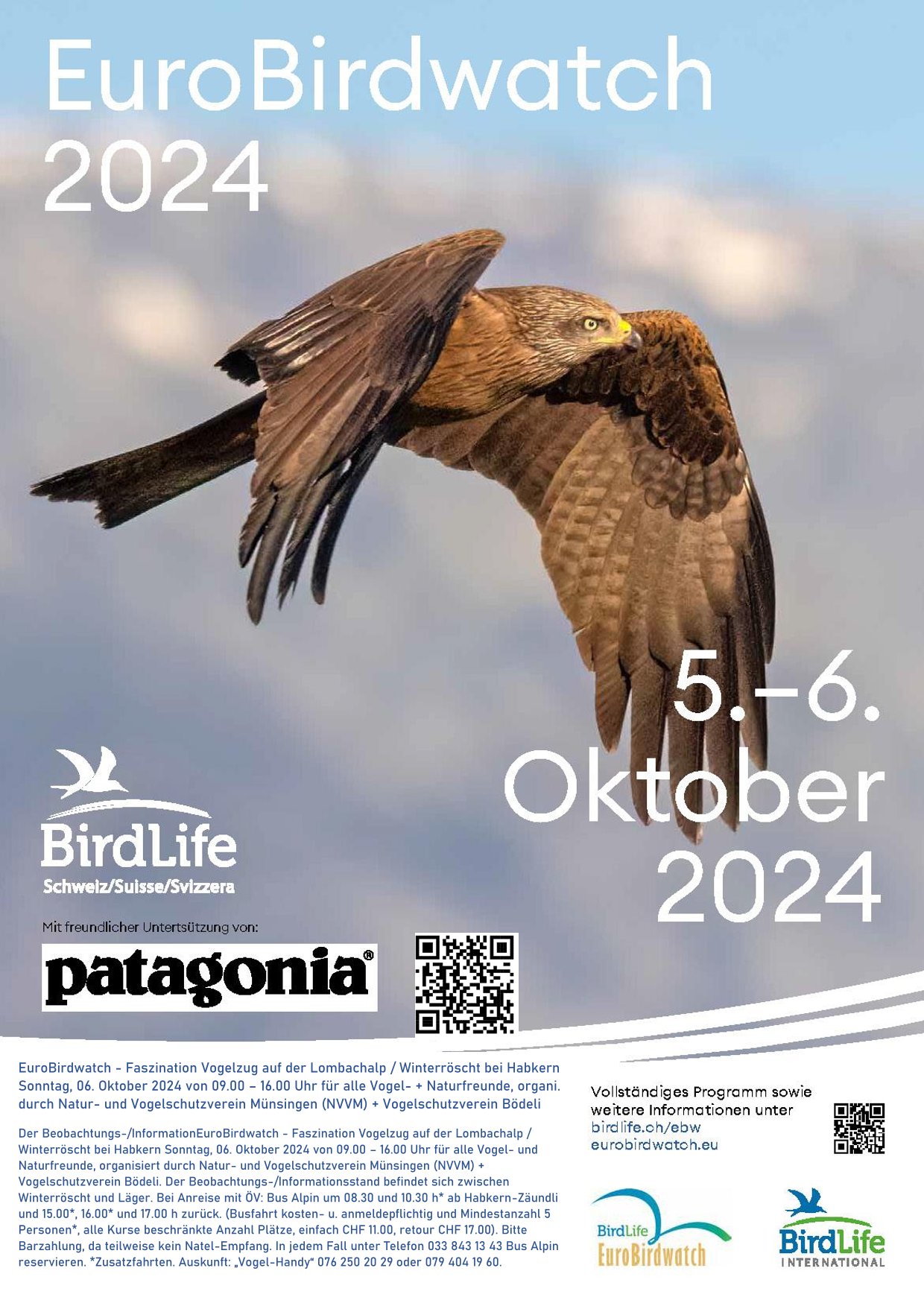 PosterEurobirdwatch ZugvogelbeobachtungHabkern2024 Patagonia